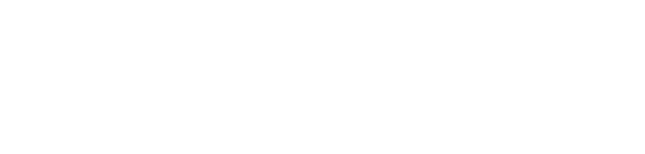 DataStream_Logo_RGB-white-for-usecopy